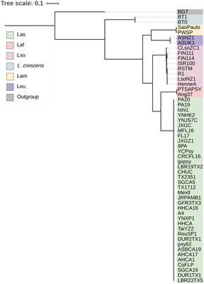 Comparative genomics of the Liberibacter genus reveals widespread diversity in genomic content and positive selection history